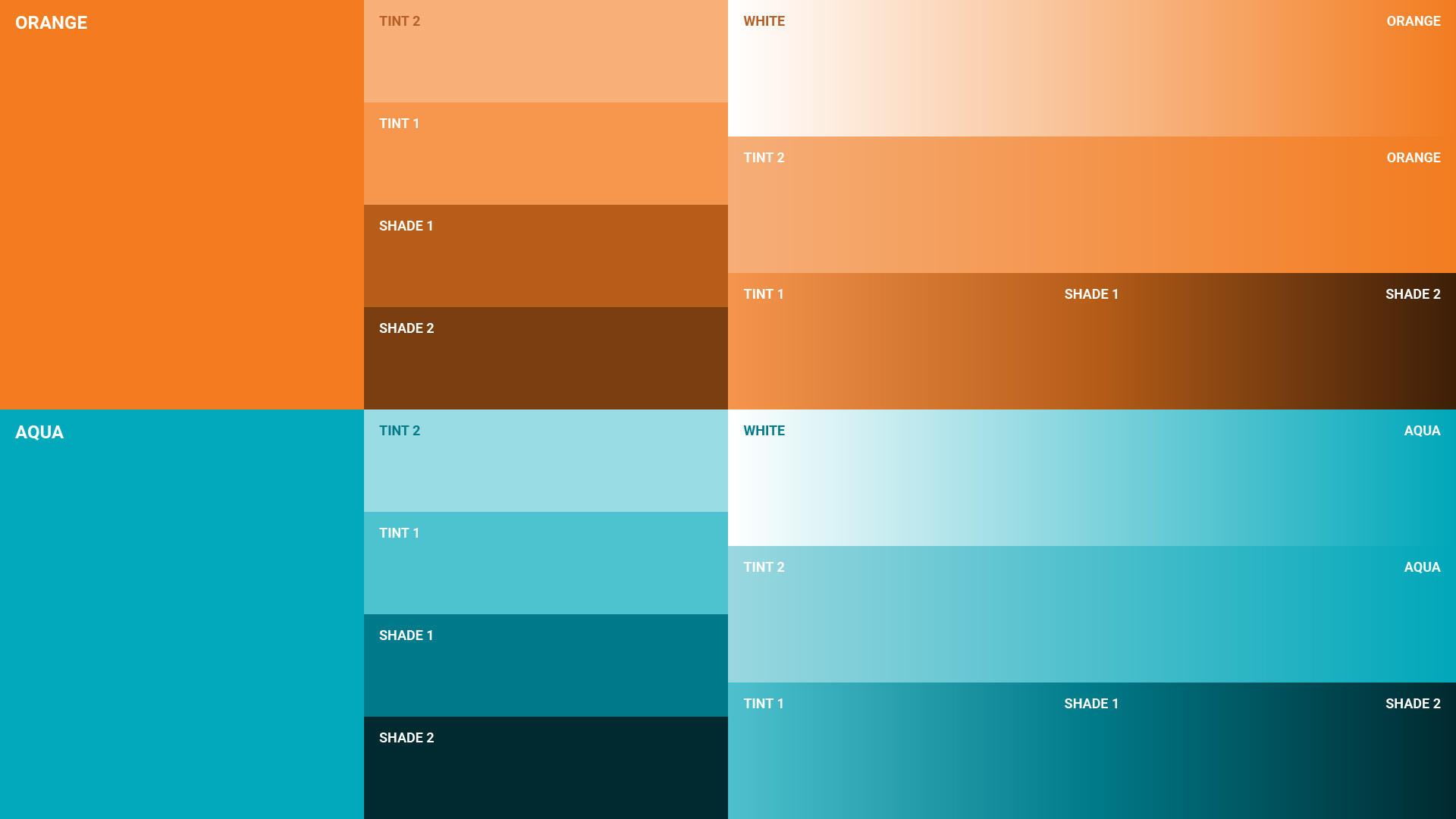 04-informatica-color_palette-primary